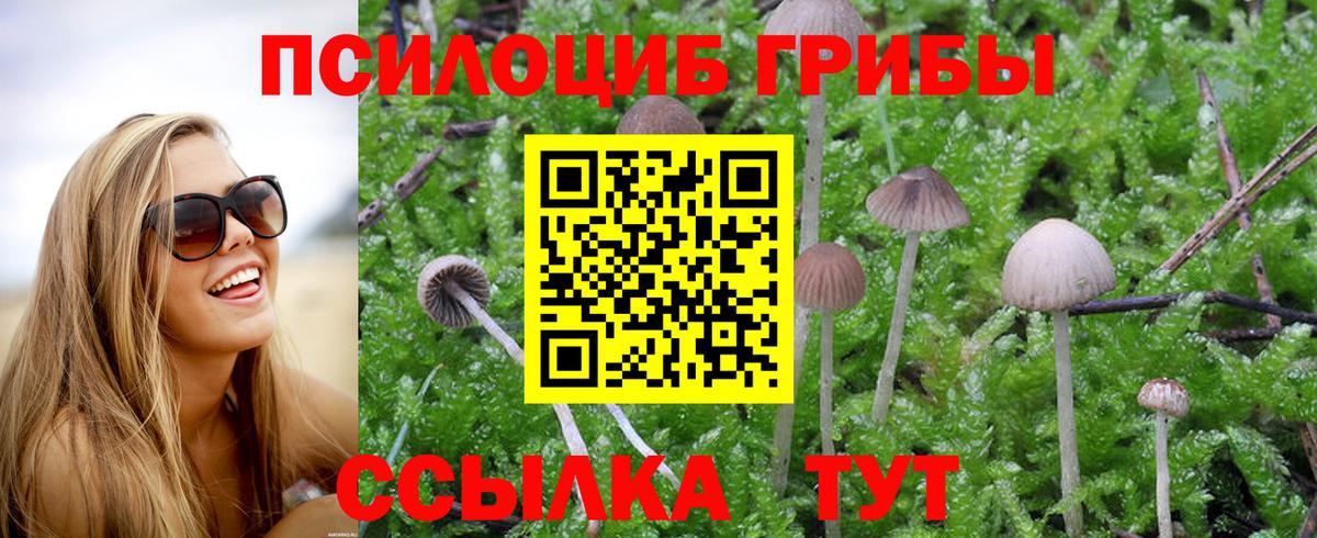Галлюциногенные грибы мицелий Сухой Лог