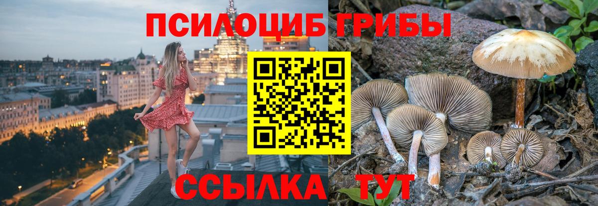 Галлюциногенные грибы прущие грибы  Галлюциногенные грибы прущие грибы  Вход с VPN  Сухой Лог 